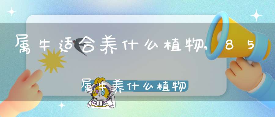 属牛适合养什么植物,85属牛养什么植物旺财