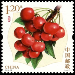 樱桃