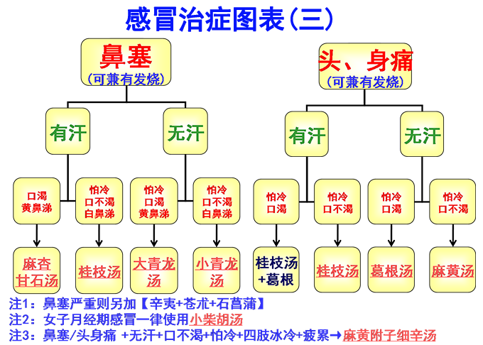倪海厦经方治感冒简易图表(图3)