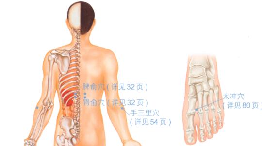 促进消化按摩