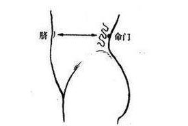 人体穴位图 命门穴位置