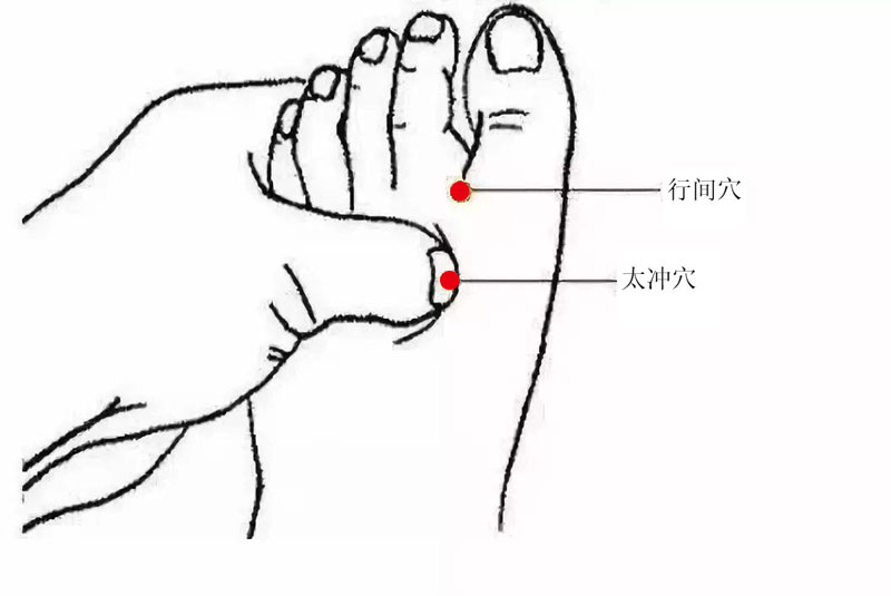 行间穴 太冲穴 人体穴位图