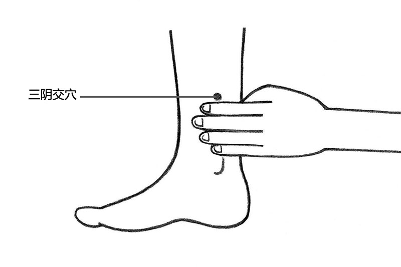 人体穴位图 三阴交穴位置