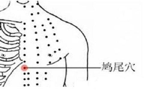 鸠尾穴 人体穴位图