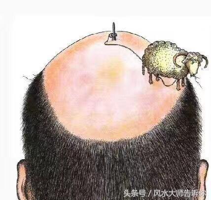 体脂率公式是否准确_高一看高考感想作文_看相面部