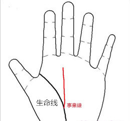 生命短暂的动物_短暂的生命,多彩的人生_生命线短