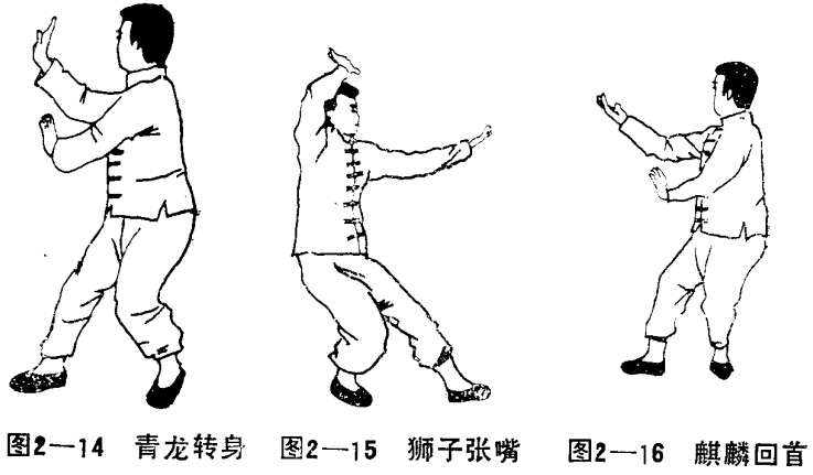 道家功法：仙道八卦拳